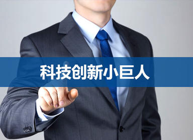 【補(bǔ)貼20萬(wàn)元】2019年度市科技創(chuàng)新小巨人企業(yè)入庫(kù)開(kāi)始申報(bào)啦!