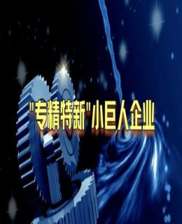 省級財政 2022 年專精特新“小巨人”企業(yè)獎補資金安排計劃的公示