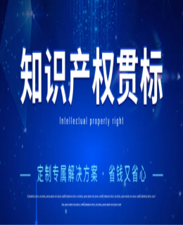 首次通過知識產(chǎn)權(quán)管理體系認(rèn)證，一次性給予10萬元獎勵！