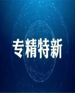 人民日?qǐng)?bào)：加快培育“專(zhuān)精特新”企業(yè)
