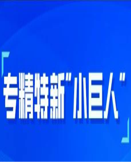 小巨人城市圖譜：解鎖園區(qū)培育新思路，珠三角加速打造專精特新“小巨人”